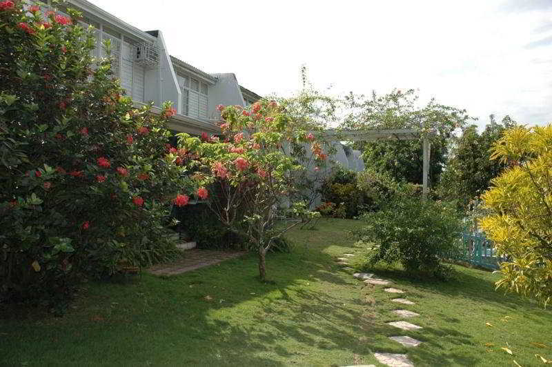 The Gardens Villa Кингстън Екстериор снимка